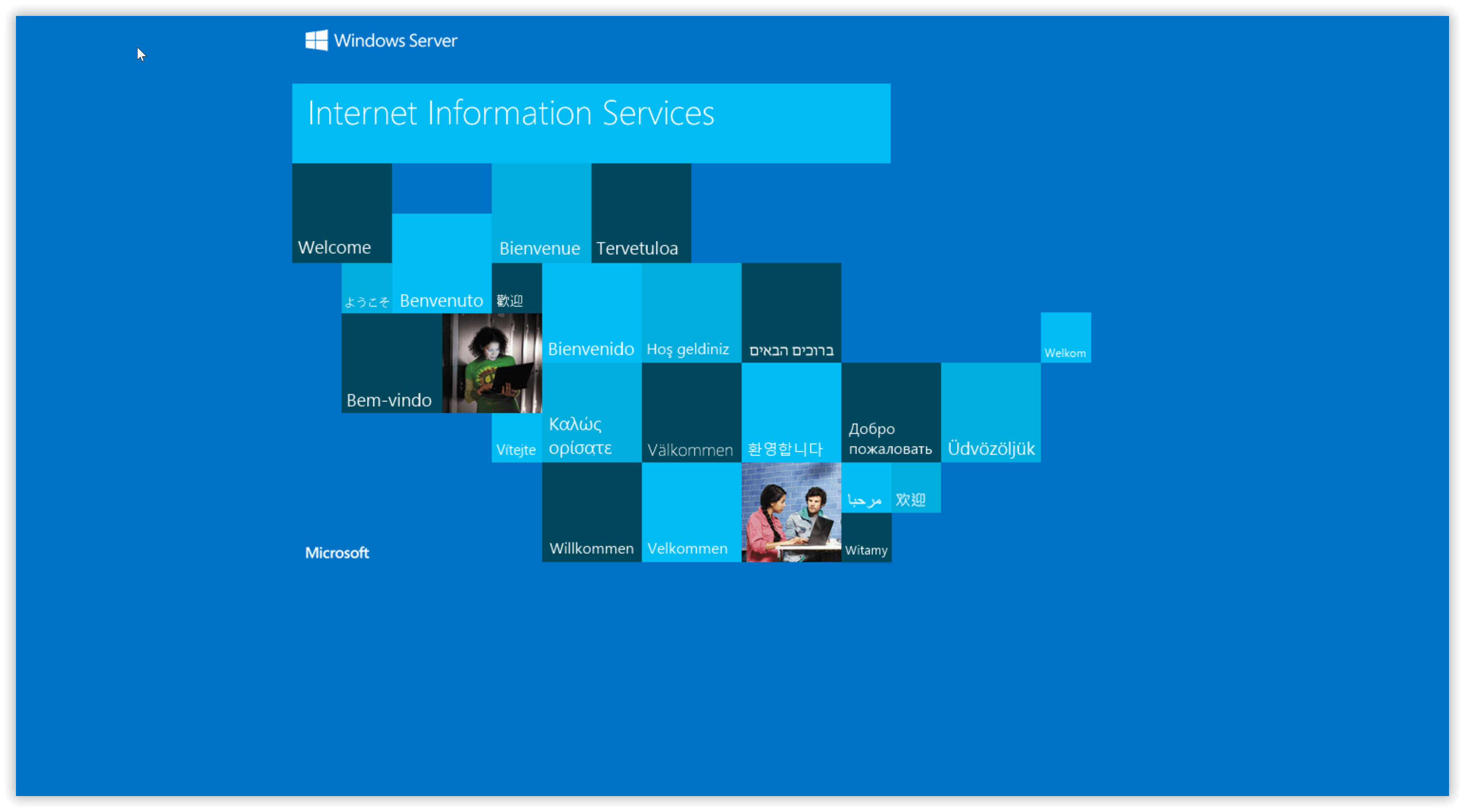 IIS 10 Standard-Webseite