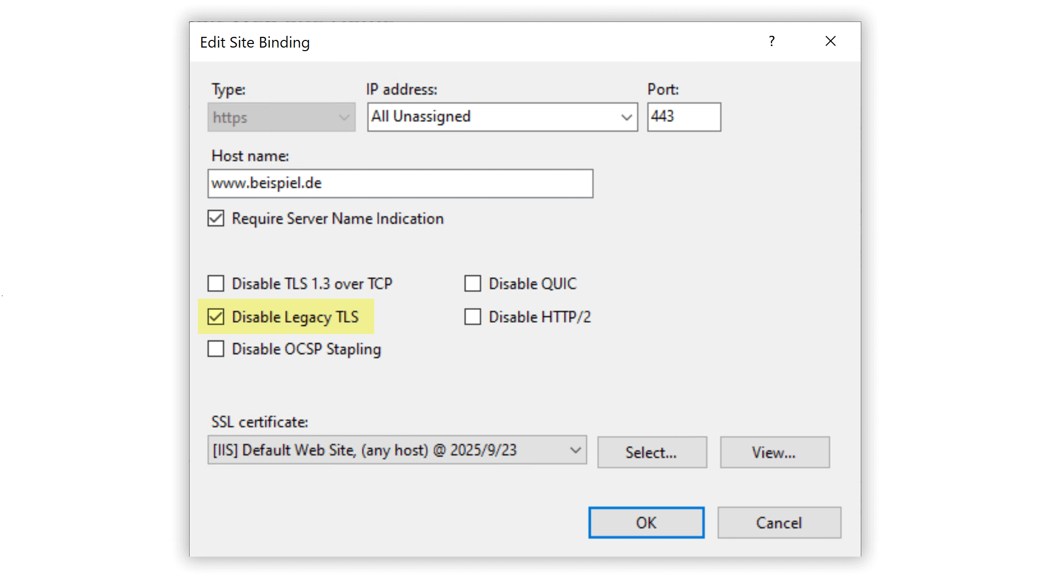 Disable Legacy TLS unter Windows 2022