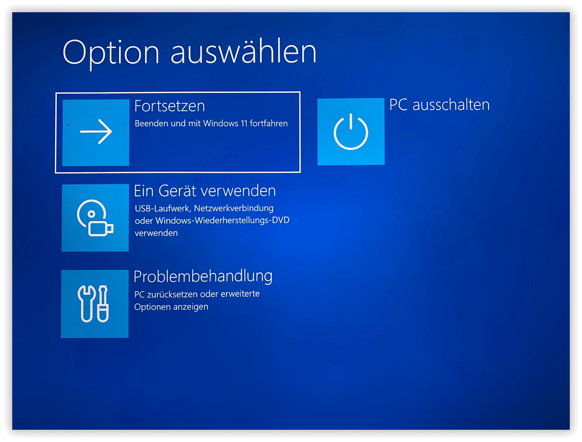 Wiederherstellungsumgebung: Option auswählen